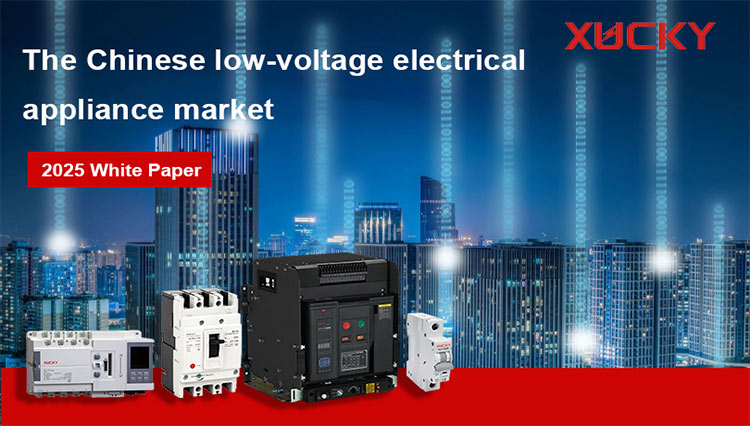 2025 Interpretarea aparatelor electrice de joasă tensiune din China